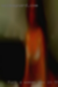 fuck a woman sex in the back